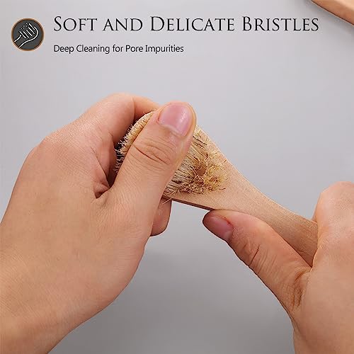 Kootinn Mini Dry Brush 2 Pack - Natural Bristle Exfoliating Facial Brush
