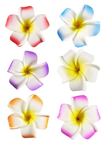 HipGirl 6pc Plumeria Hair Clips Set – 2.5in Hawaiian Flower Hair Barrettes for Women & Girls