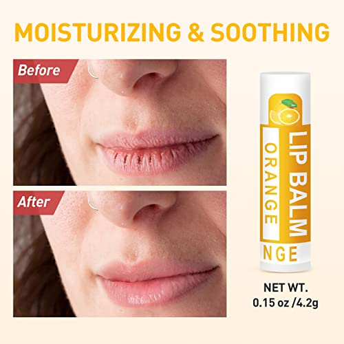 Dmsky Natural Lip Balm Set - 12 Flavors for Moisturizing Care