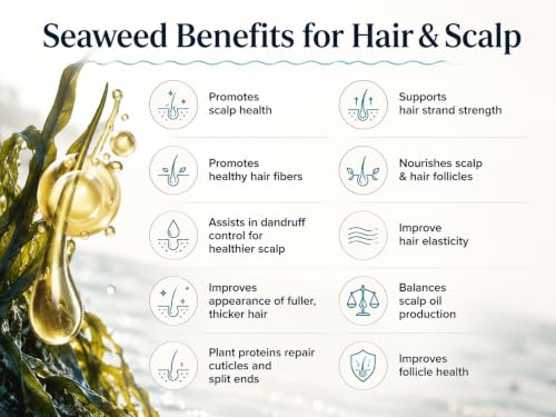 Leave-In Conditioner for Frizzy Hair - Seaweed & Kelp Treatment, 8.5 fl. Oz