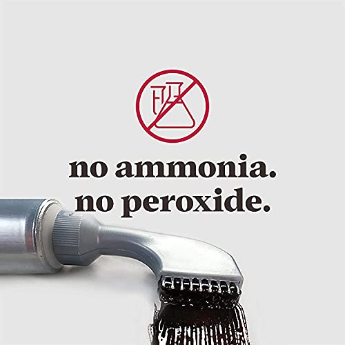 Just for Men Easy Comb-In Color, Darkest Brown - 10-Minute Gray Coverage