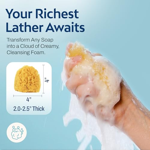 HartFelt Natural Grass Sea Sponge - 2 Bath Sponges (4in) for Exfoliating & Cleansing | Eco-Friendly with Mesh Bag