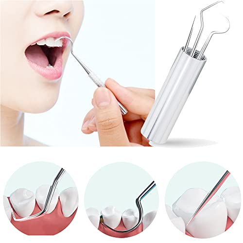 Reusable Stainless Steel Toothpick Set for Teeth Cleaning with Holder - Portable Dental Picks for Travel & Outdoor Use