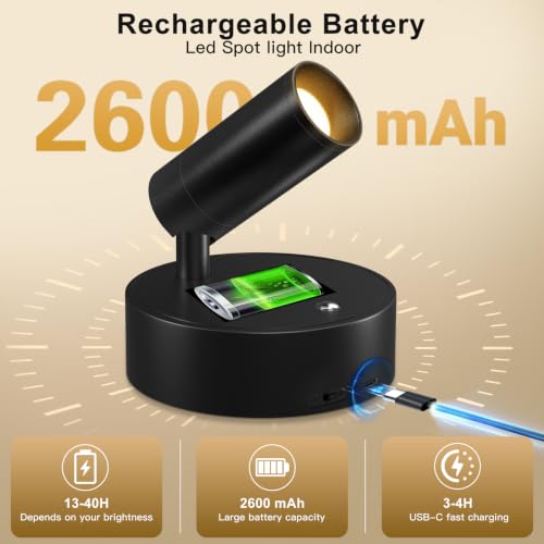 Rechargeable LED Spotlight with Remote Control for Indoor Use