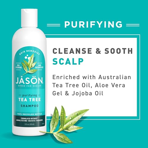 Jason Tea Tree Shampoo 12 oz - Nourishing & Soothing Formula