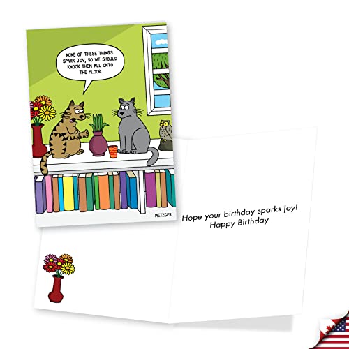 Funny Cat Birthday Cards Assorted Pack of 3 with Envelopes