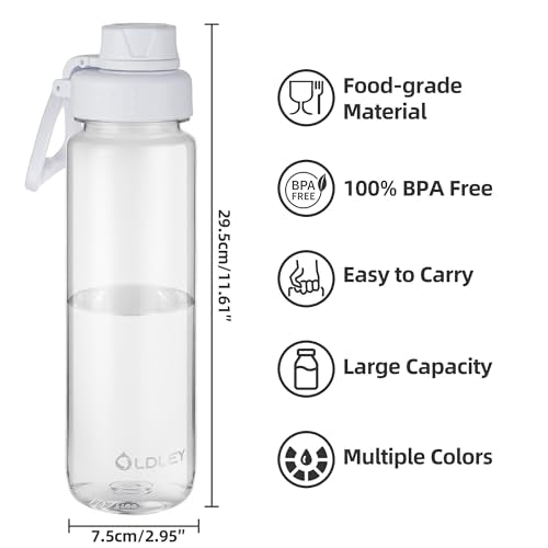 OLDLEY 32 oz Tritan Water Bottle with Carry Handle & Spout Lid