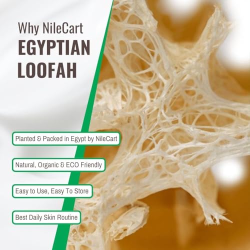 NileCart Natural Egyptian Loofah Pads - 6.5" Exfoliating Body Scrubber, 2-Pack