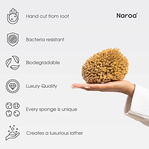 Naroa Medium Natural Sea Sponge | Gentle Bath Loofah for Smooth Skin