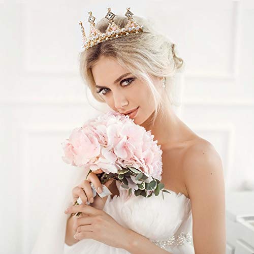 Gold Tiara with Pink Rhinestones - Birthday Crown for Women, Party &