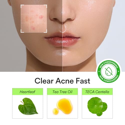 Abib Heartleaf Calming Pimple Patches Waterproof & Invisible - 78 Patches, 2 Sizes