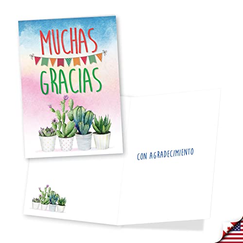 NobleWorks Spanish Thank You Greeting Cards - Assorted Pack of 3