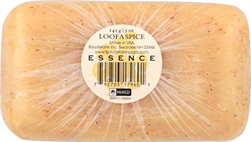 Baudelaire Spice Fragrance Loofah Soap Bar 5oz Natural Exfoliating Skin Care