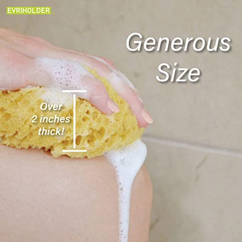 Evriholder GROOVI BEAUTY Foam Body Sponge – Pack of 2 Exfoliating Large Bath Scrubbers
