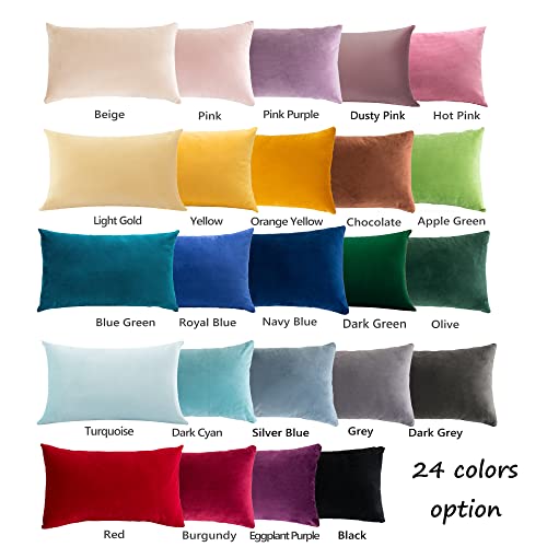 Stellhome Pack of 2 Velvet Throw Pillow Covers, 12x20 inch, Silver Blue