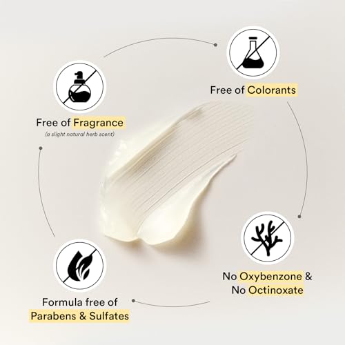 Abib Airy Gel Sunscreen SPF 30 Semi-Matte Pore-Refining Primer for Sensitive Skin