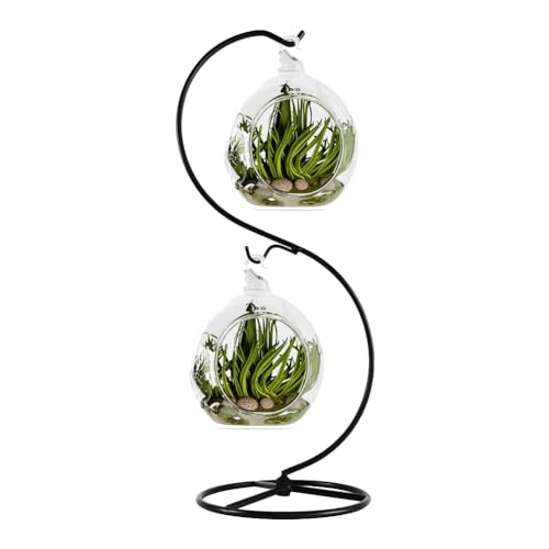 13-Inch Black Metal Ornament Display Stand with Two Hooks