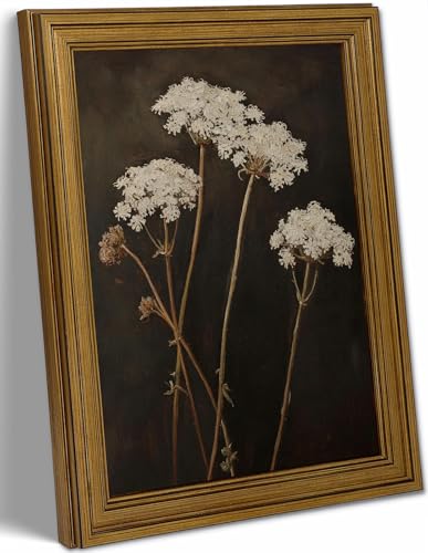 Vintage Botanical Wall Art - Queen Anne's Lace Canvas Print with Gold Frame - 9x11 Inch