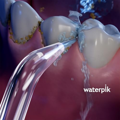 Waterpik JT-450E Precision Replacement Tips for Cordless Water Flossers, 2 Pack