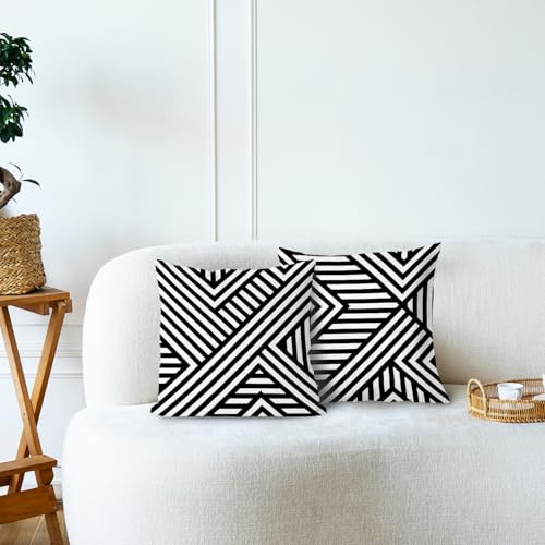 Black and White Decorative Pillow Covers 18x18 (Set of 2) - Abstract Flannel for Indoor & Outdoor Use
