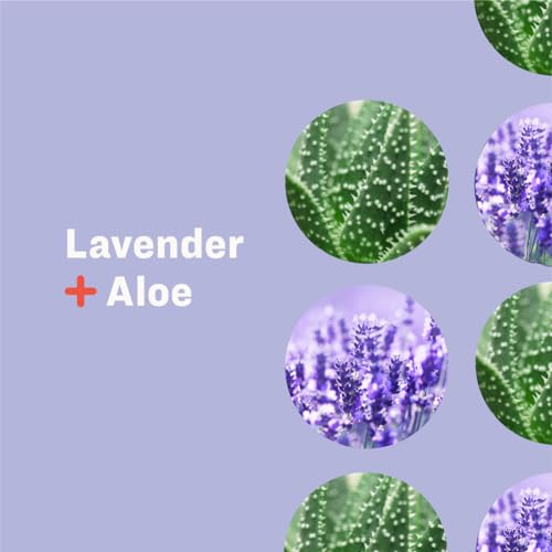 Everyone Nourishing Lavender Aloe Lotion 8 Fl Oz - Organic Moisturizer for Skin, Pack of 1