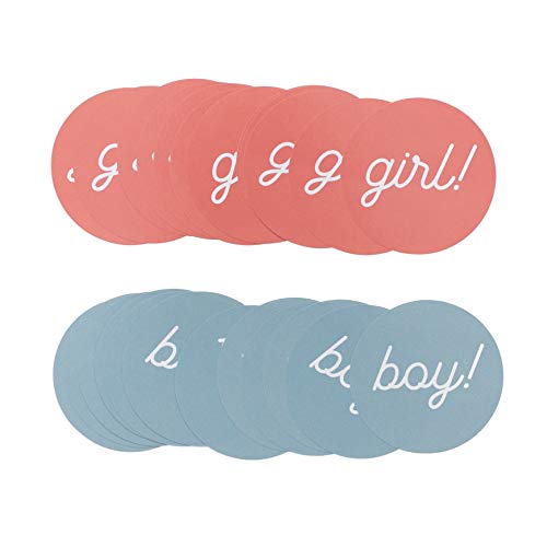 Gender Reveal Stickers - Pink & Blue Baby Shower Party Favors
