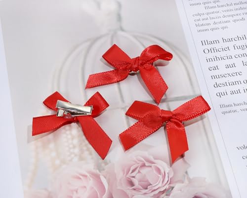 30 Mini Satin Hair Bow Clips for Women & Girls - Alligator Barrettes