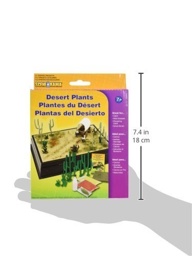 Desert Plants Diorama Kit by Woodland Scenics - Arts & Crafts