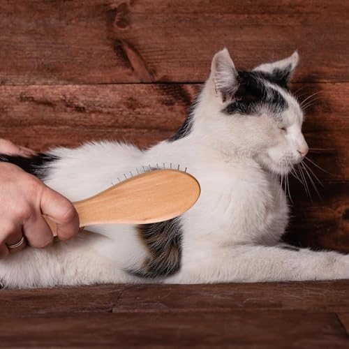 Portable Bamboo Hair Brush with Steel Bristles for Detangling