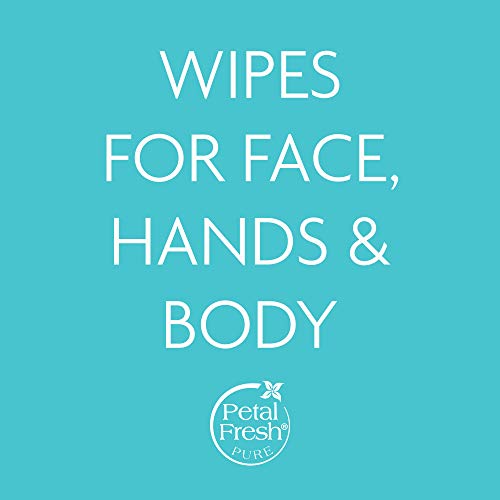 Soothing Aloe Vera Makeup Removing Cleansing Wipes - 60 Count