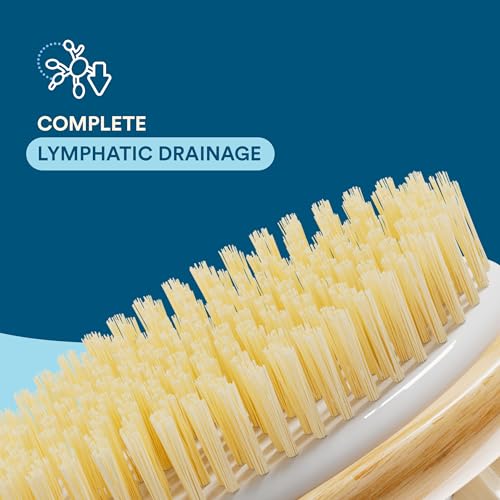 Bloom 2-in-1 Long Handle Body Brush for Exfoliation and Massage