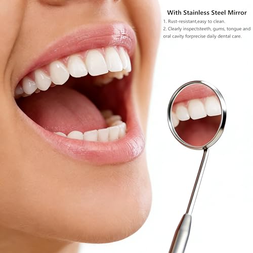 4-Pack Replacement Toothbrush Heads for Waterpik Flossers - Dental Cleaning Kit