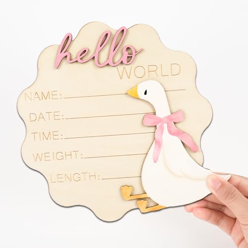 FYSUIMU Silly Goose Newborn Milestone Sign with Pink Bow