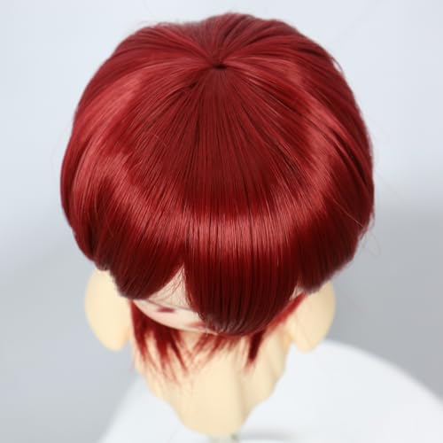 Tzncos Deark Red Wolf Tail Dome Wig Short Style for 1/3 BJD Doll