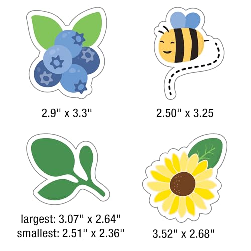Carson Dellosa Freshly Picked Friends 41pc Classroom Bulletin Board Set