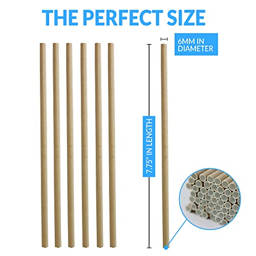 Reli. 400 Pack Kraft Brown Paper Straws - Biodegradable & Disposable