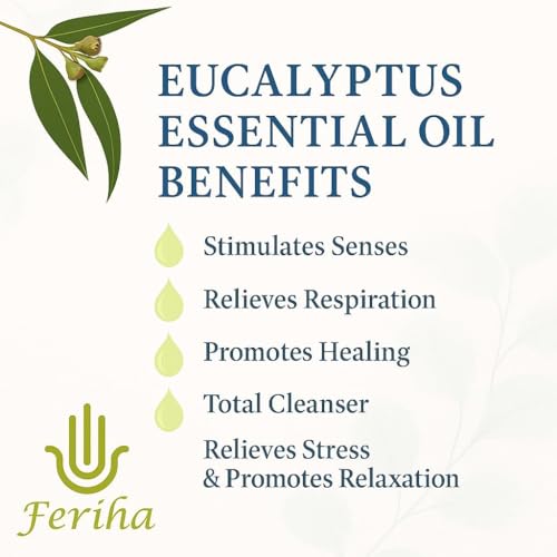 Moroccan Black Soap with Eucalyptus - Exfoliating Body & Face Cleansing Paste, 7oz