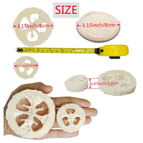2 Inch Natural Loofah Slices - Pack of 25 Reusable Exfoliating Sponges for Skin & DIY Soap Making