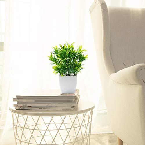 Artificial Aloe Plant in White Square Pot - Mini Faux Potted Greenery
