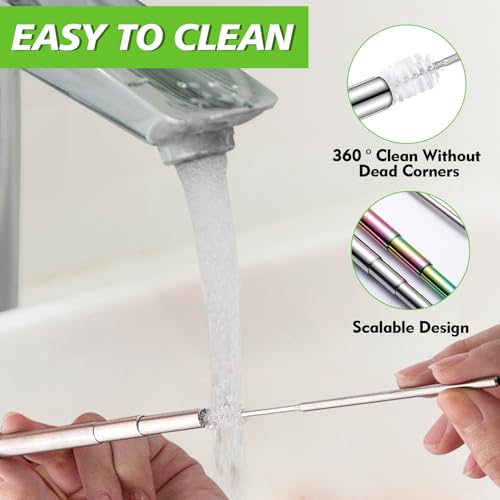 Collapsible Stainless Steel Reusable Straws - 5 Pack with Case & Brushes