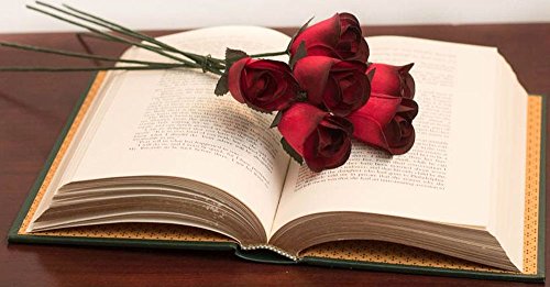 6 Red Wooden Roses with Black Tips - Half Open Bud Craft Flowers