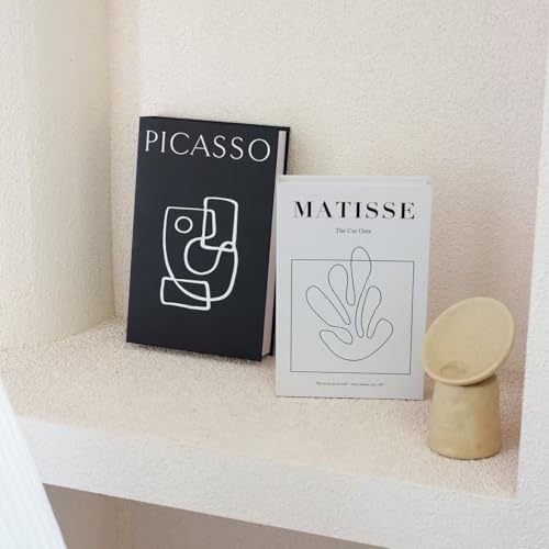 Set of 2 Decorative Faux Books - Modern Black & White Art Theme