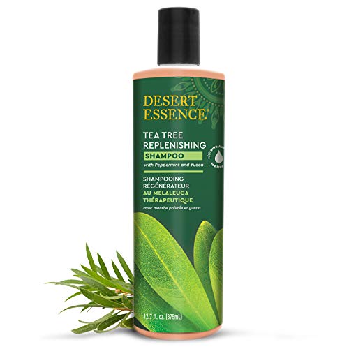 Desert Essence Tea Tree Shampoo with Peppermint, 12.7 oz | Moisture Balance & Scalp Refresh