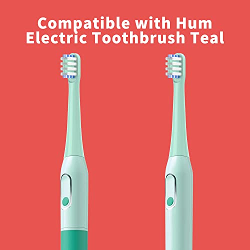 Othanary Green Replacement Toothbrush Heads for Colgate Hum Smart Toothbrush 6 Pack