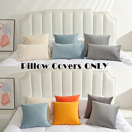 Stellhome Pack of 2 Velvet Throw Pillow Covers, 12x20 inch, Silver Blue