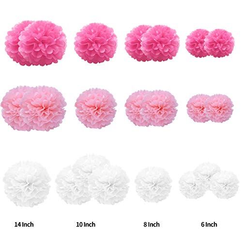 22 Pcs Tissue Paper Pompoms in Pink, Rose Red & White for Parties