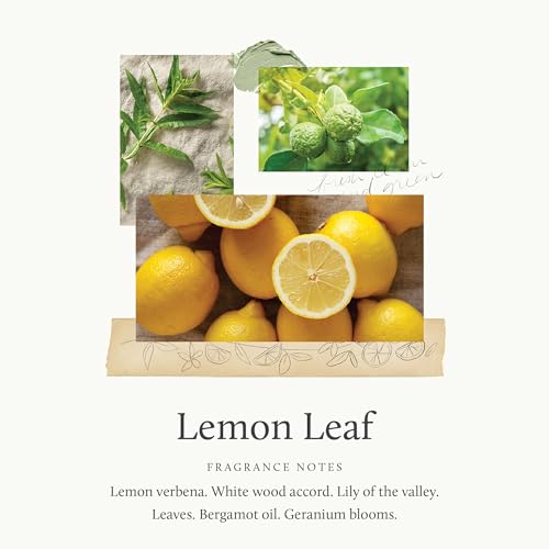 Thymes Lemon Leaf Hand Wash - 9oz Moisturizing Liquid Soap with Pump