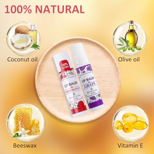 VISRIE 16-Pack Natural Lip Balm Set with 16 Flavors
