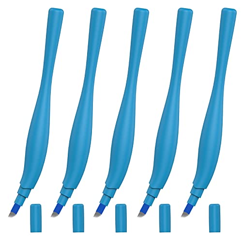 10-Pack Disposable Microblading Pen with 14F Needles for Eyebrow Tattooing