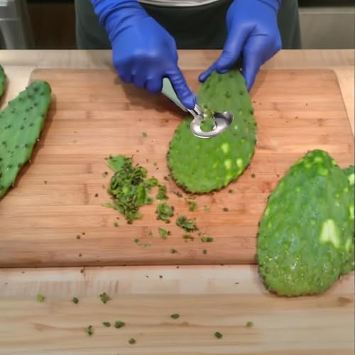 Cactus Peeler Tool Set - 2 Mint Green Stainless Steel Peelers for Nopales Prep